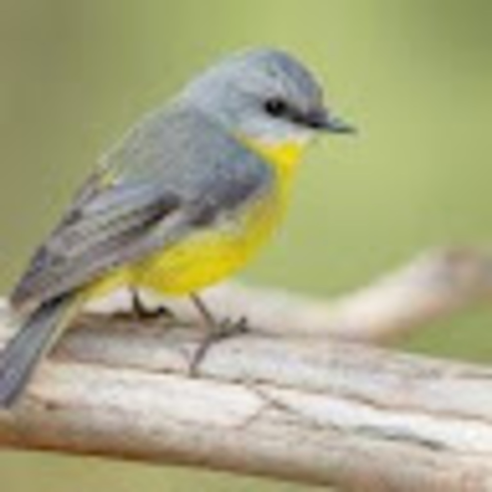 Meet your Posher, Brenda